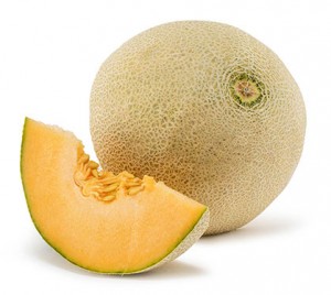 rock melon